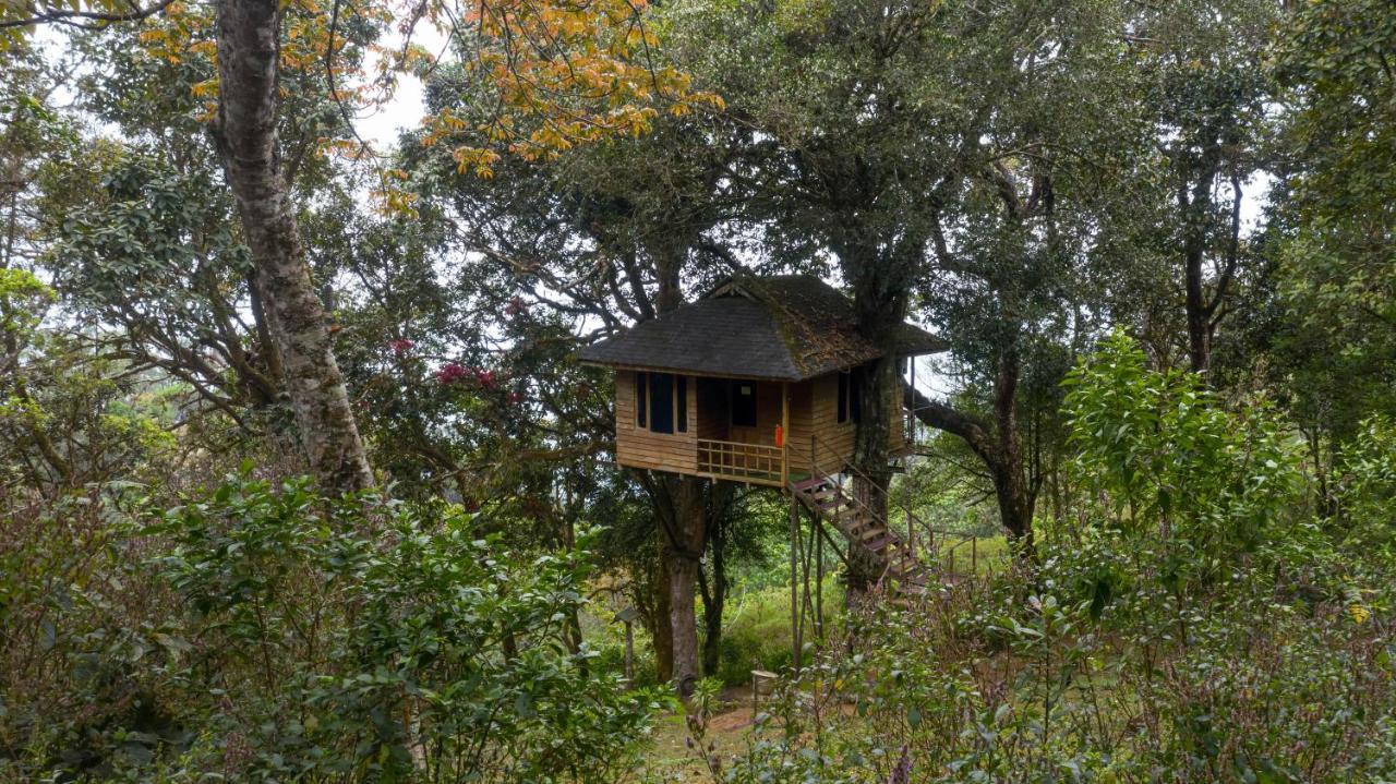 Nature Zone Jungle Resort Munnar Bagian luar foto