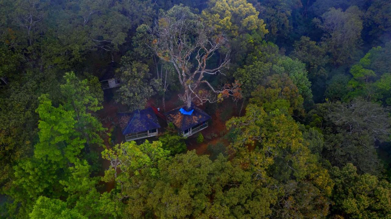 Nature Zone Jungle Resort Munnar Bagian luar foto